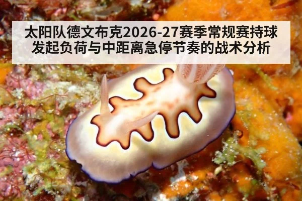 太阳队德文布克2026-27赛季常规赛持球发起负荷与中距离急停节奏的战术分析
